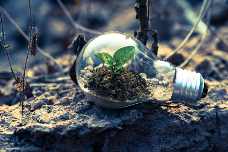 Environmental Engineering